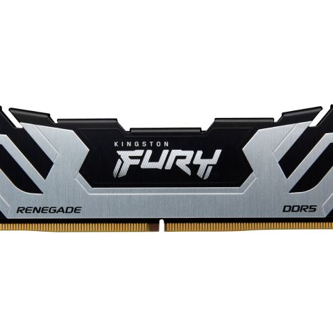Kingston Technology FURY 24 Go 8800 MT/s DDR5 CL42 CUDIMM Renegade Silver