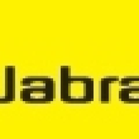 GN2100 King Size earcushion