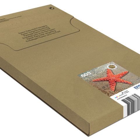 Epson 603 Multipack Easy Mail Packaging