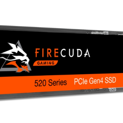 Seagate FireCuda 520 ZP1000GM3A002