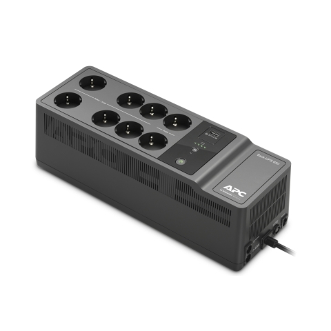 alimentation d'énergie non interruptible Veille 0,65 kVA 400 W 8 sortie(s) CA