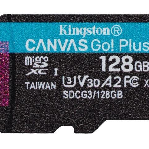 Kingston Canvas Go! Plus