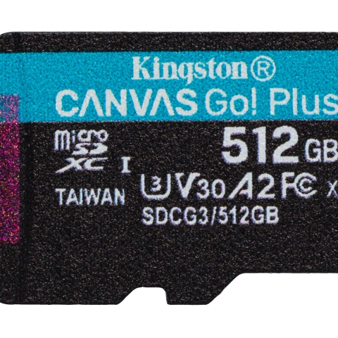 Kingston Canvas Go! Plus