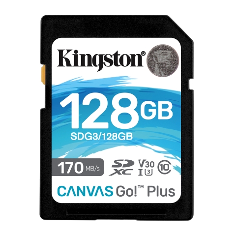 Kingston Canvas Go! Plus