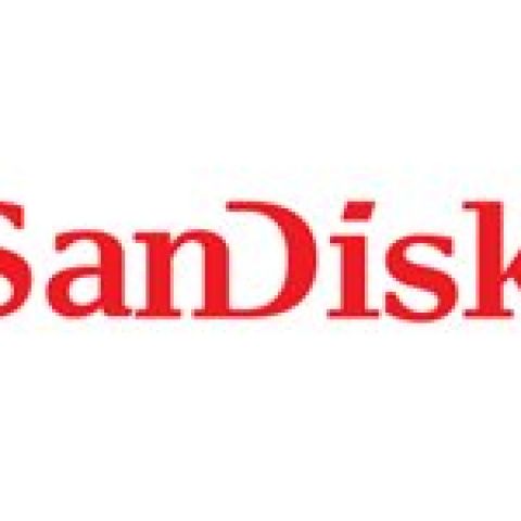 SanDisk Extreme PRO SDXC 256GB 300MB/s 256 Go Classe 2