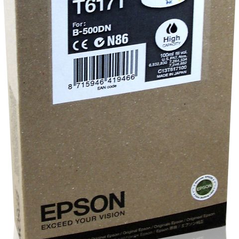 Epson T6171