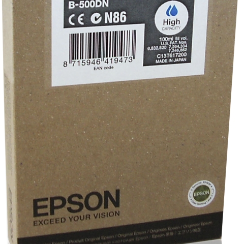 Epson T6172
