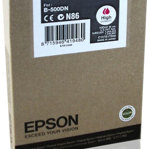 Epson T6173