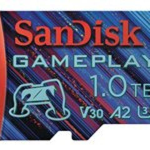 SanDisk SDSQXAV-1T00-GN6XN mémoire flash 1 To MicroSD UHS-I