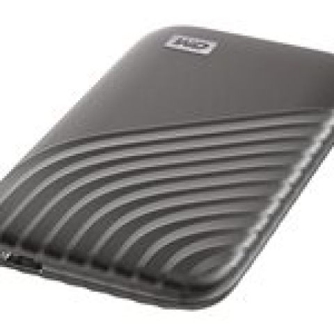 Western Digital My Passport 4000 Go Gris