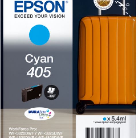 Epson 405