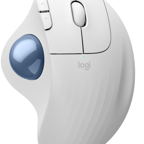 Logitech Ergo M575S souris Bureau Droitier RF sans fil + Bluetooth Trackball 2000 DPI