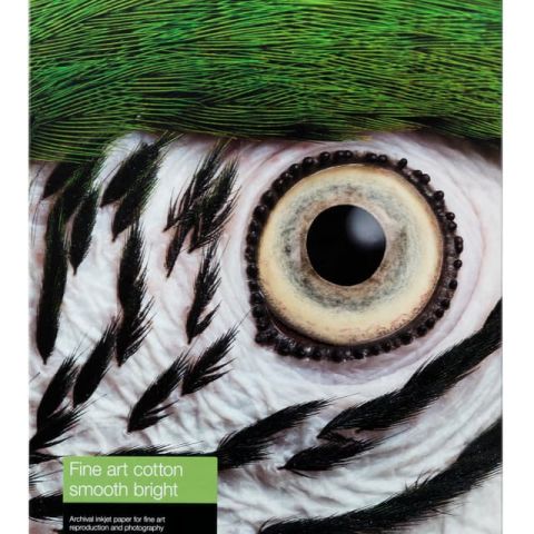 Epson C13S450274NQ papier jet d'encre A4 (210x297 mm) Lisse 25 feuilles Multicolore