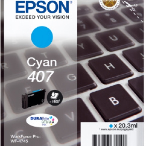 Epson 407