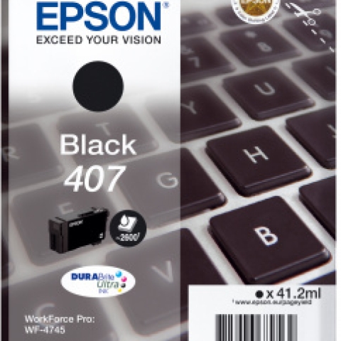 Epson 407