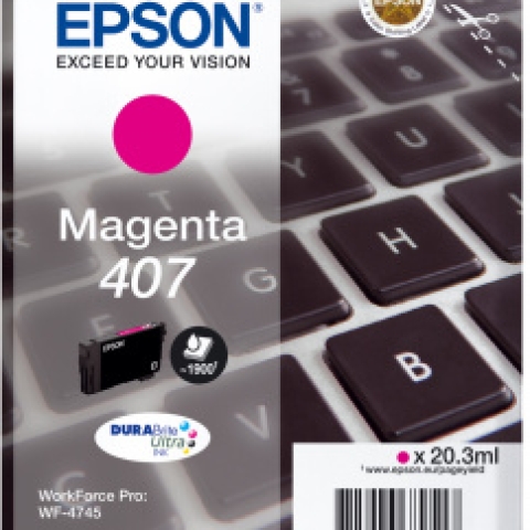 Epson 407