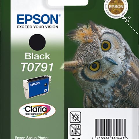 Epson T0791