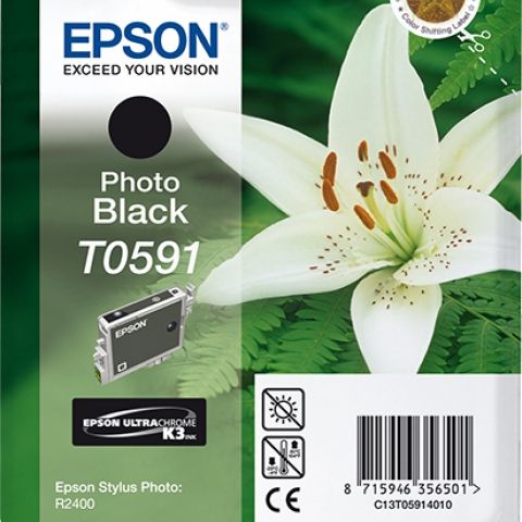 Epson T0591