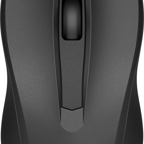 HP Souris filaire 100