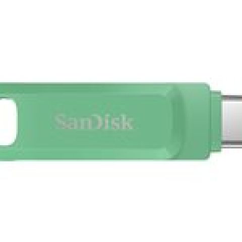 SanDisk Ultra Dual Drive Go USB 256GB lecteur USB flash 256 Go USB Type-A / USB Type-C 3.2 Gen 1 (3.1 Gen 1) Vert