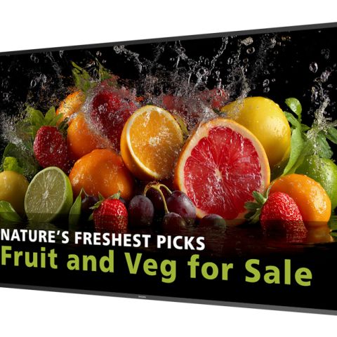 Philips 5000 series 65BDL5050D/00 Écran d'affichage dynamique 165,1 cm (65") LCD Wifi 600 cd/m² Full HD Noir Intégré dans le processeur Android