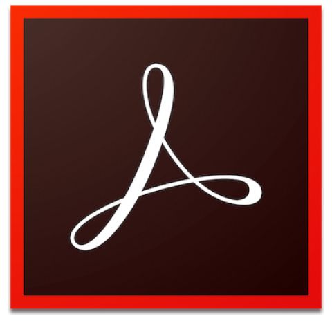 Adobe Acrobat Professional DC Gouvernement (GOV) 1 licence(s) Renouvellement Multilingue 1 mois