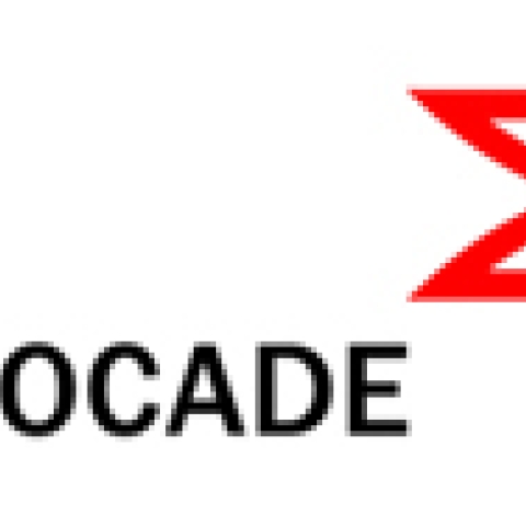 Brocade Essential Direct Support 4-Hour Onsite