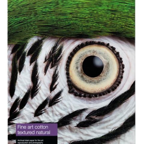 Epson C13S450283NQ papier jet d'encre A2 (420x594 mm) Finition texturée 25 feuilles Multicolore