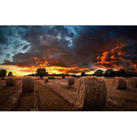 Samsung LH46VMBUBGBXEN mur d'écrans vidéos LCD Intérieure