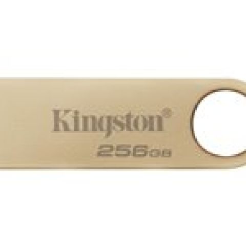 Kingston Technology DataTraveler 256Go 220Mo/s Clé USB 3.2 Gen 1 Métal SE9 G3