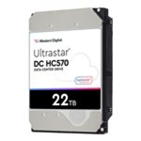 Western Digital Ultrastar DC HC570 3.5" 22000 Go Série ATA III