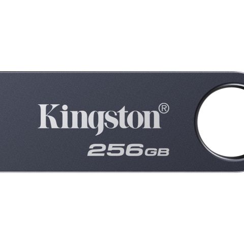 Kingston Technology DataTraveler 256 Go SE9 G3 - Nickel foncé
