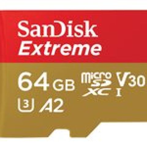 SanDisk Extreme 64 Go MicroSDXC UHS-I Classe 10