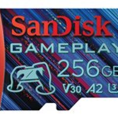 SanDisk SDSQXAV-256G-GN6XN mémoire flash 256 Go MicroSD UHS-I