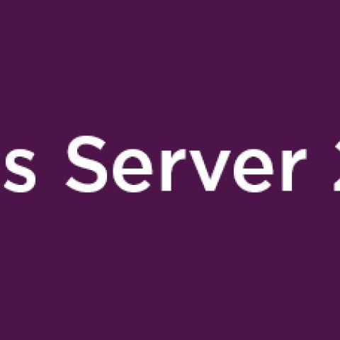 Lenovo Windows Server 2025 Remote Desktop Services Licence d'accès client Licence