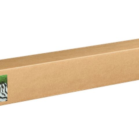 Epson C13S450272NQ papier rouleau 15 m 111,8 cm