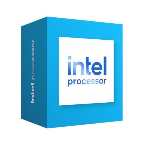 Intel 300 processeur 6 Mo Smart Cache Boîte