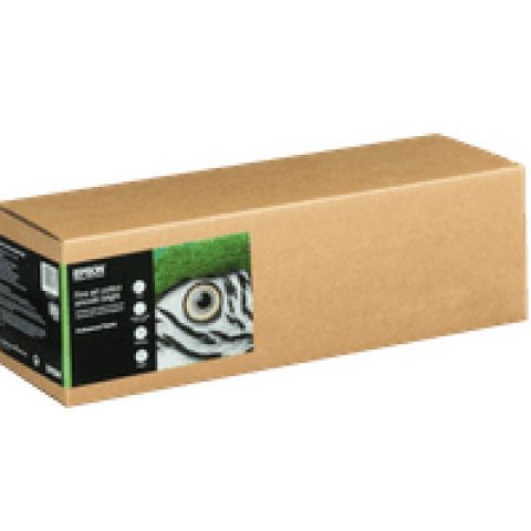 Epson C13S450270NQ papier rouleau 15 m 43,2 cm