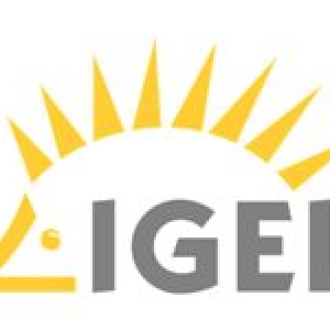 Igel Software Maintenance